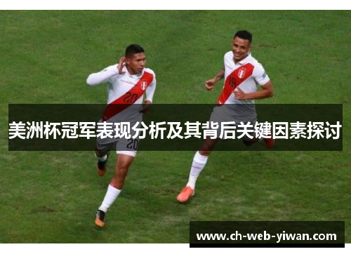 美洲杯冠军表现分析及其背后关键因素探讨