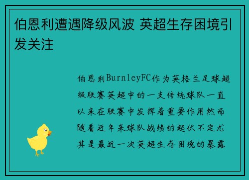伯恩利遭遇降级风波 英超生存困境引发关注